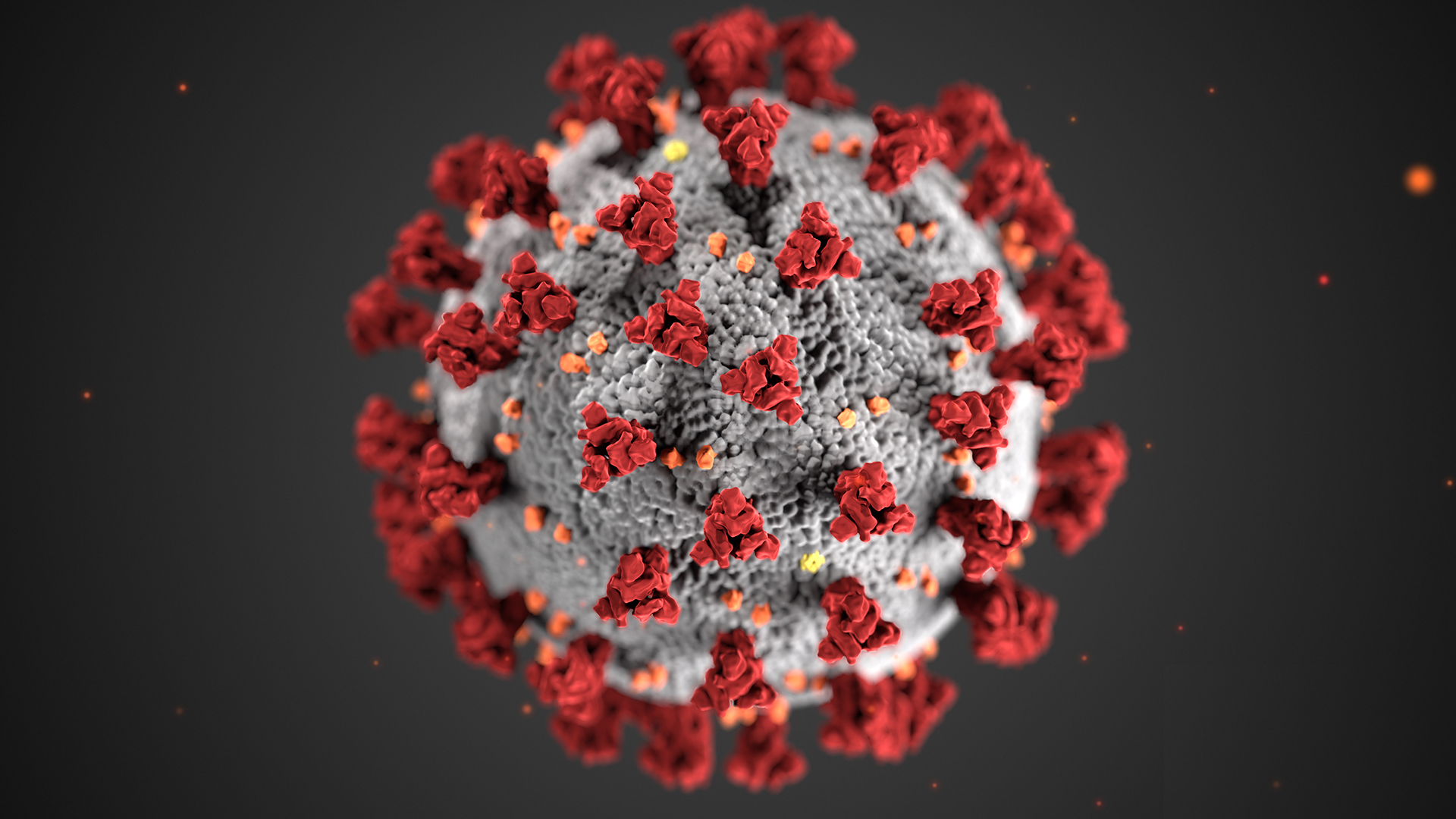 Microscopic view of SARS-CoV-2 virus